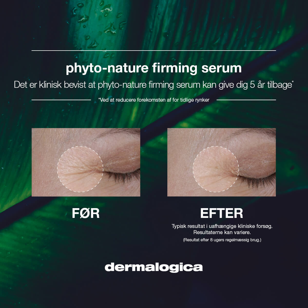 Dermalogica Phyto-Nature Firming Serum 40 ml